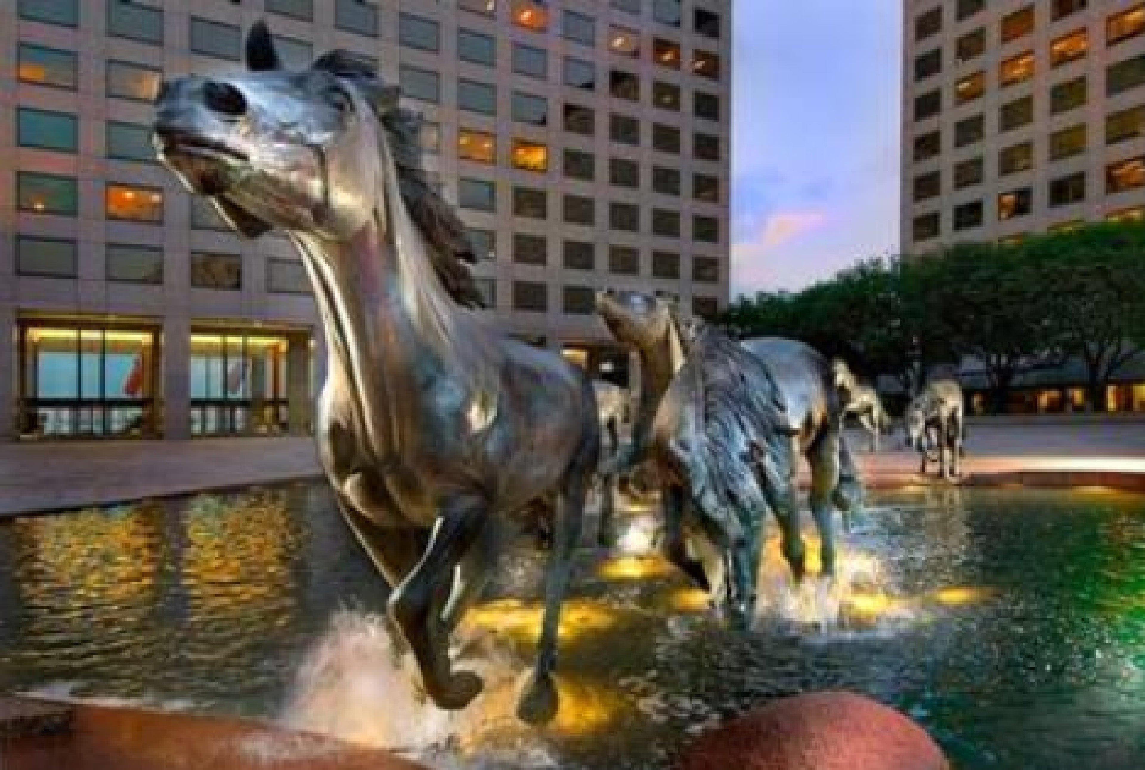 Sonesta Simply Suites Dallas Las Colinas Irving Exterior photo